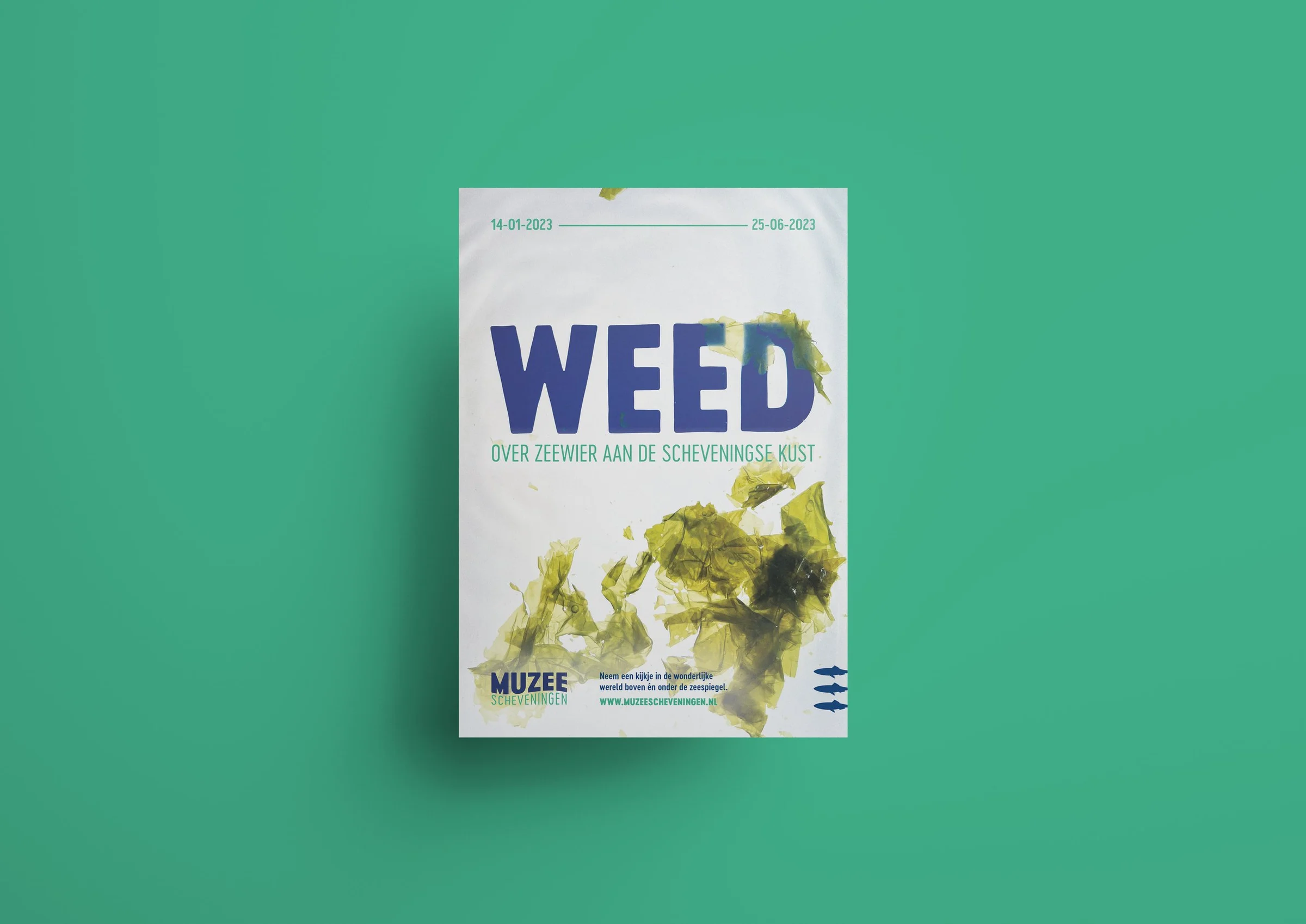 WEED, beeld 1