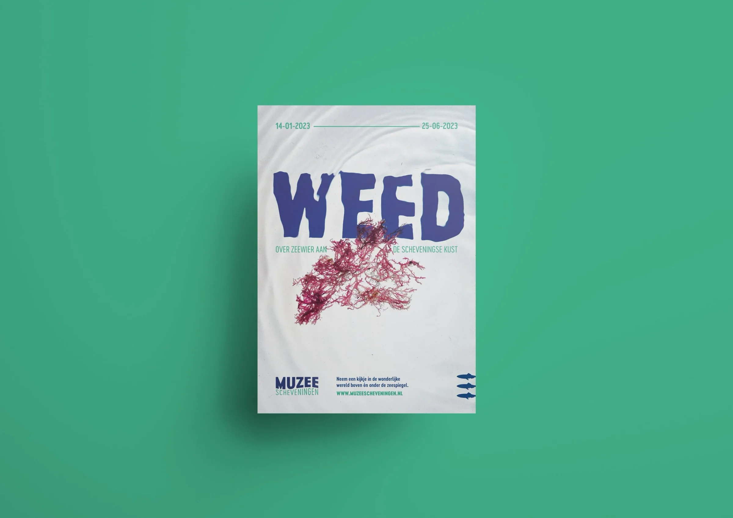 WEED, beeld 2