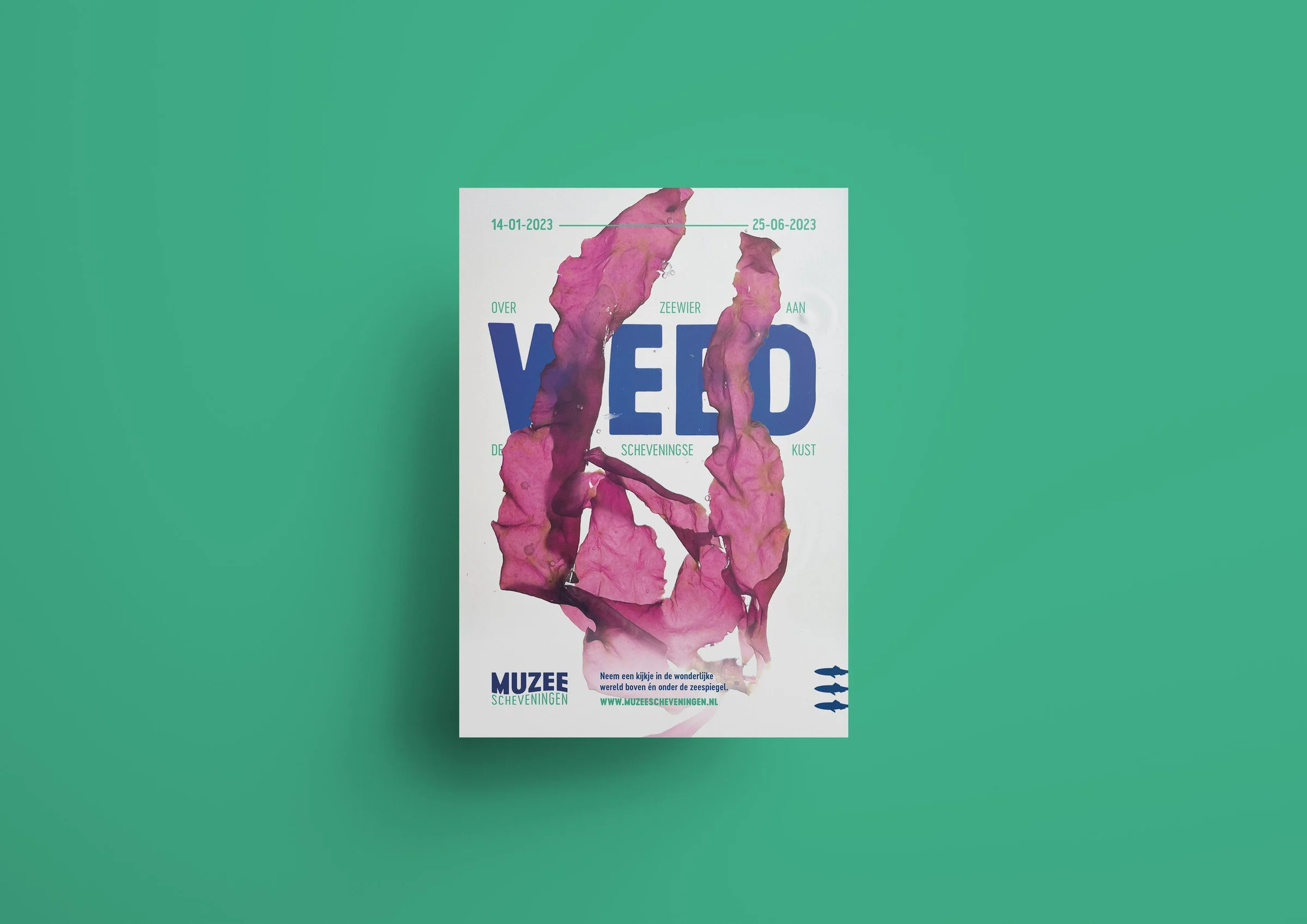 WEED, beeld 3