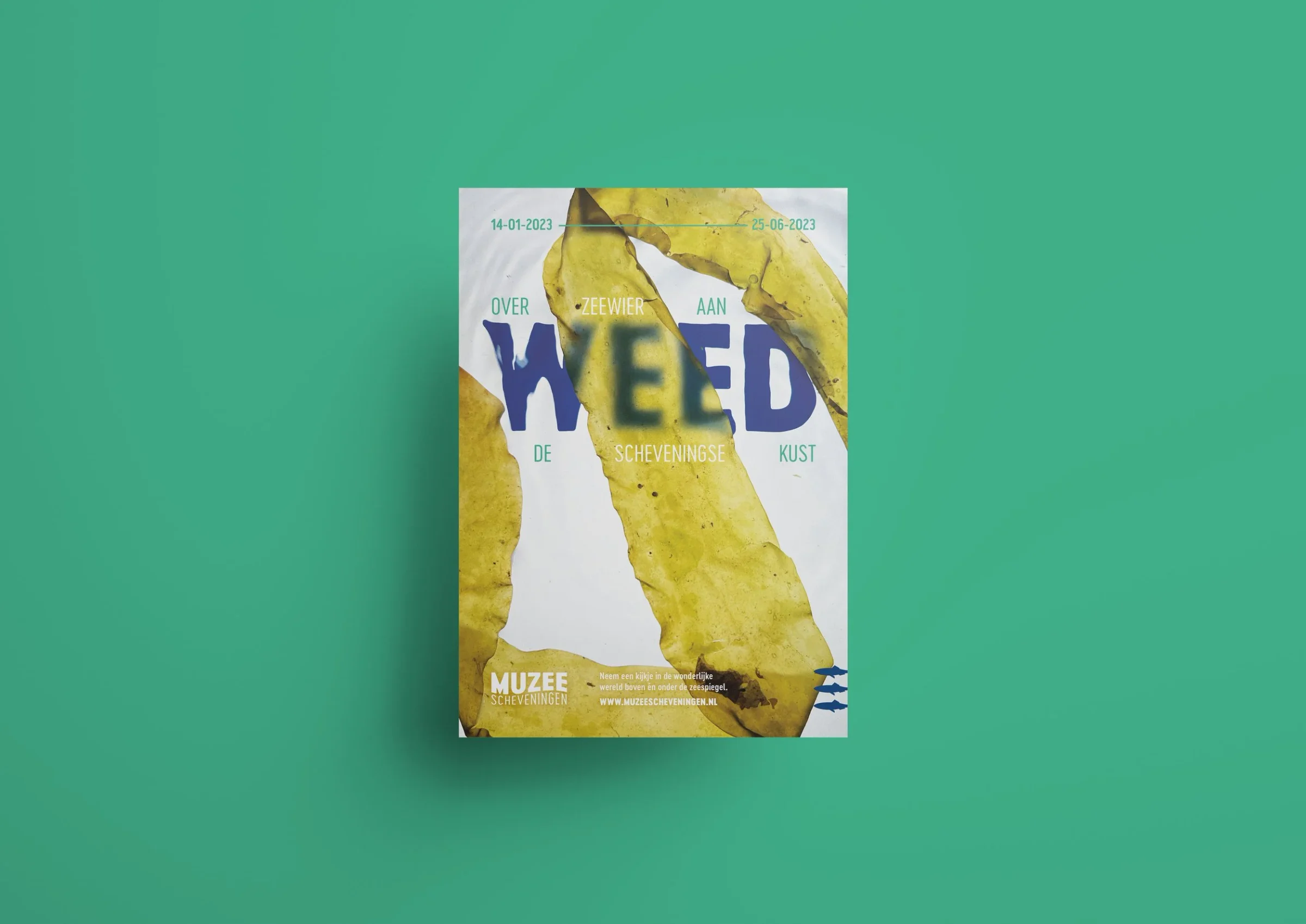 WEED, beeld 4