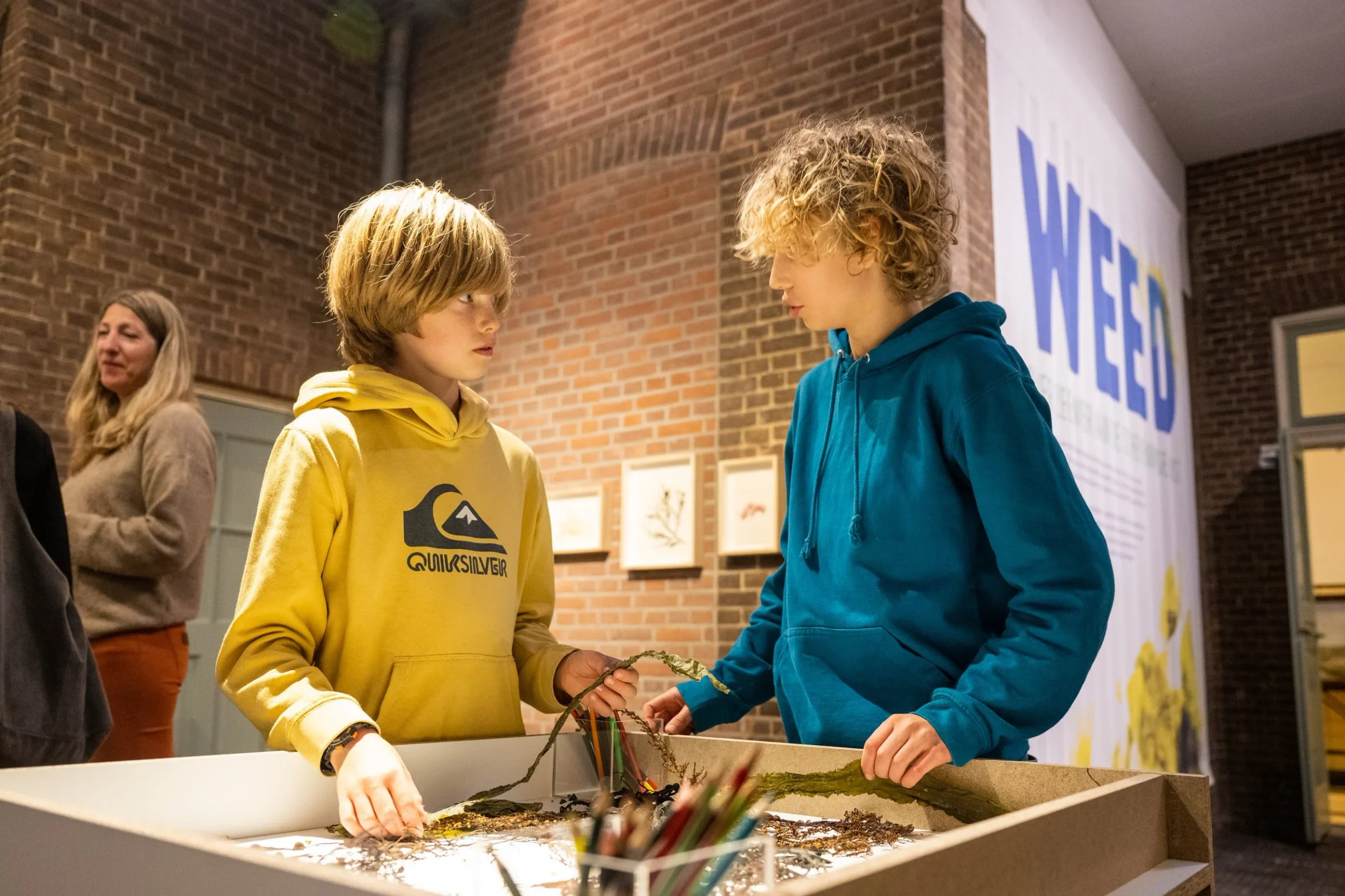 WEED, beeld 9